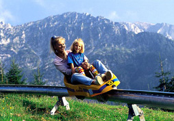 Abtenauer Sommerrodelbahn am Karkogel